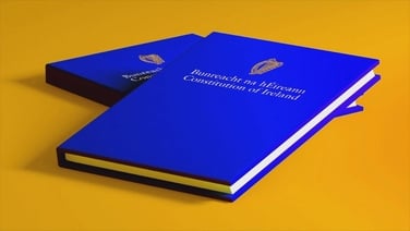 news2day Explainer: Molly tells us about the 8 March Referendums