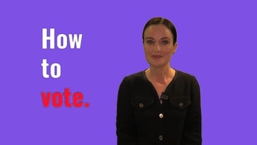 How to vote