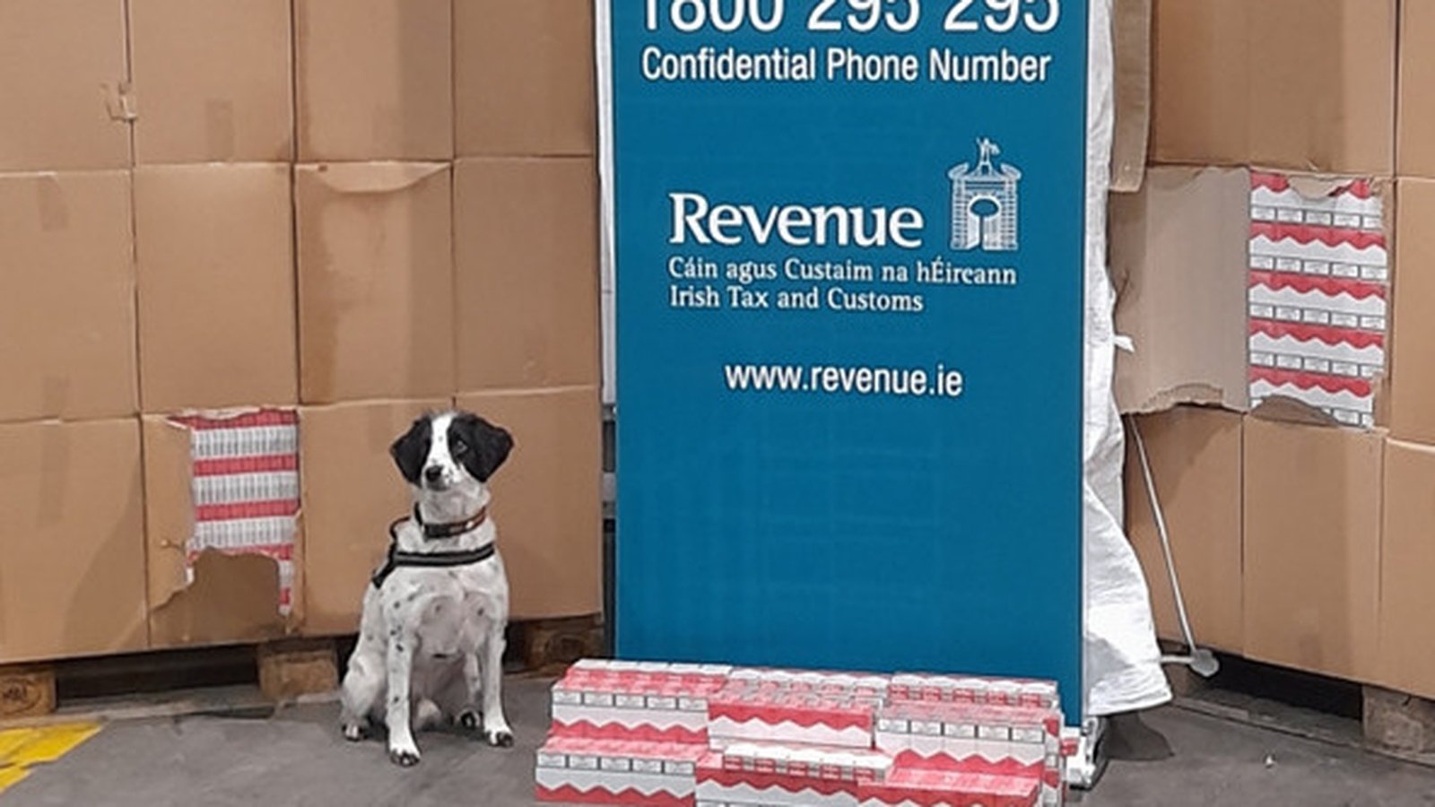 Cigarettes worth €11 million seized at Dublin Port