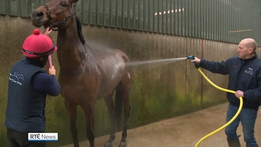 Cheltenham as good as Croke Park for Terence O'Brien and team