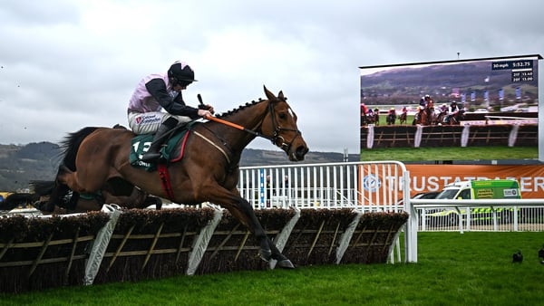 Teahupoo winning at the Cheltenham Festival in March