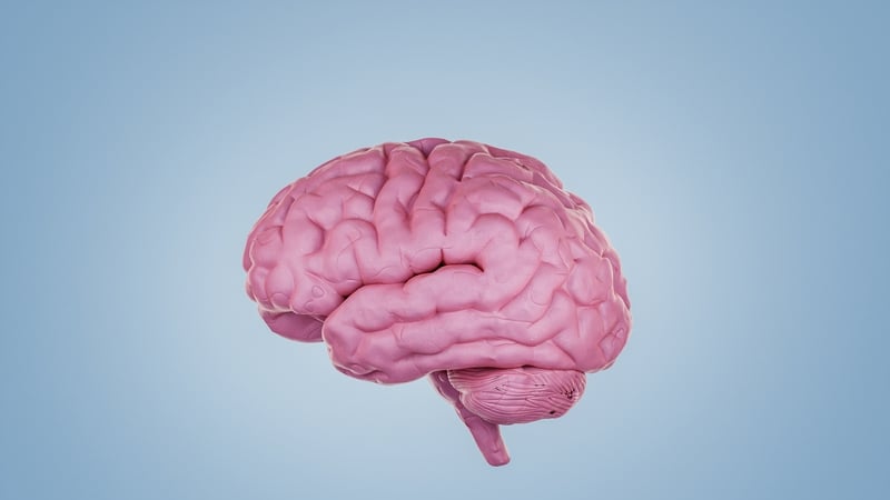 Do you have a middle-ageing brain?
