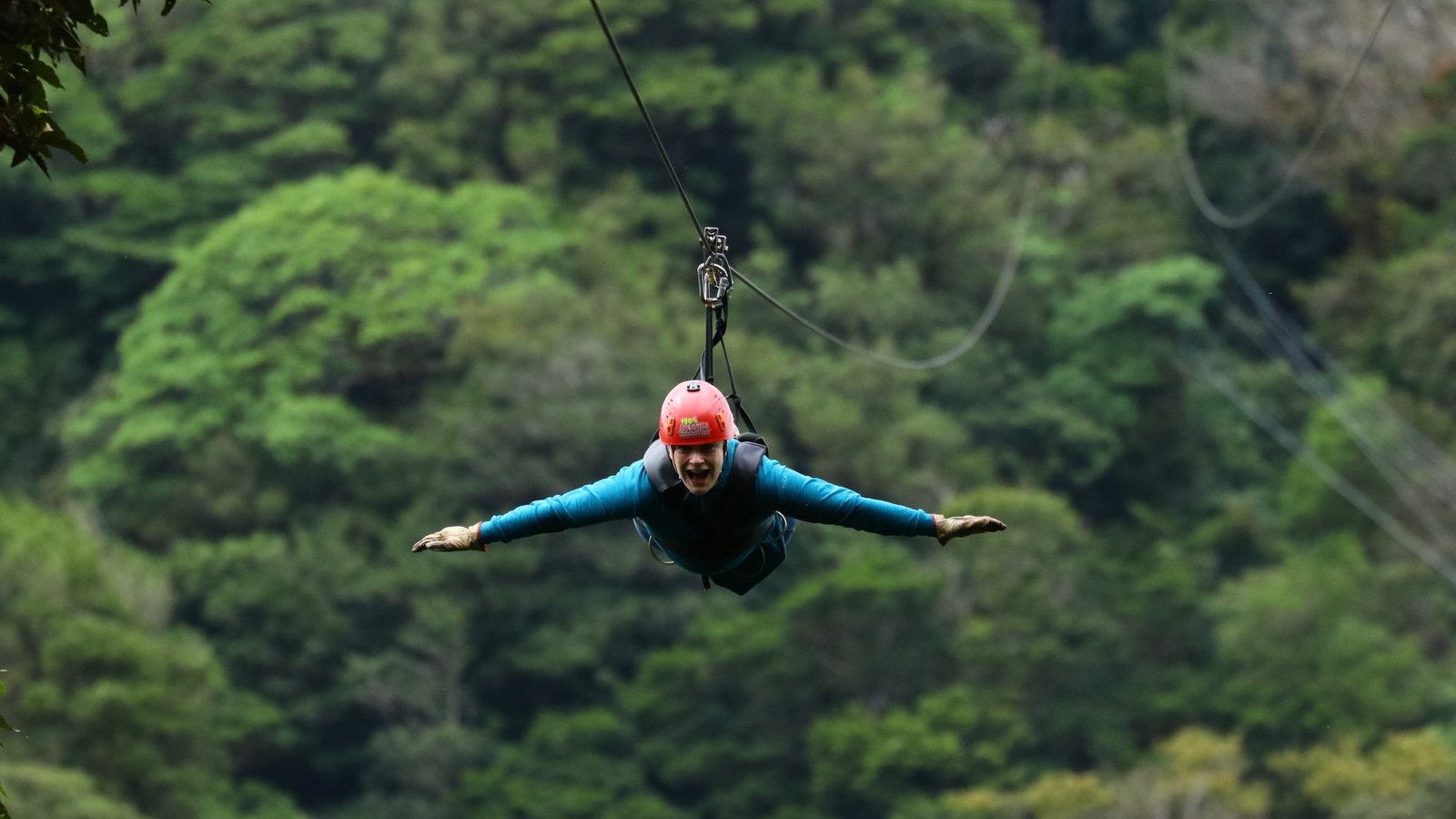 Travel review: Learning to live the ‘pure life’ in Costa Rica