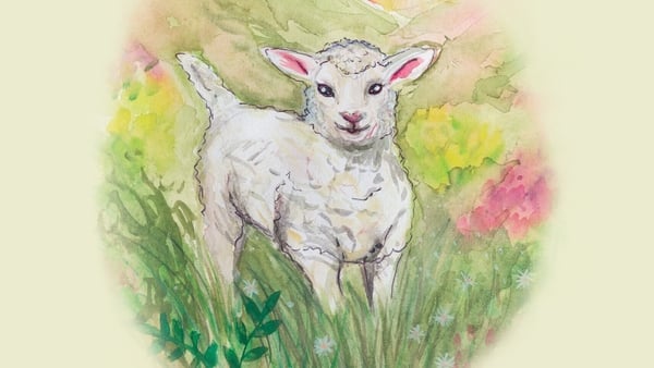 The Little Lamb Who Led by Katie O'Donoghue.
