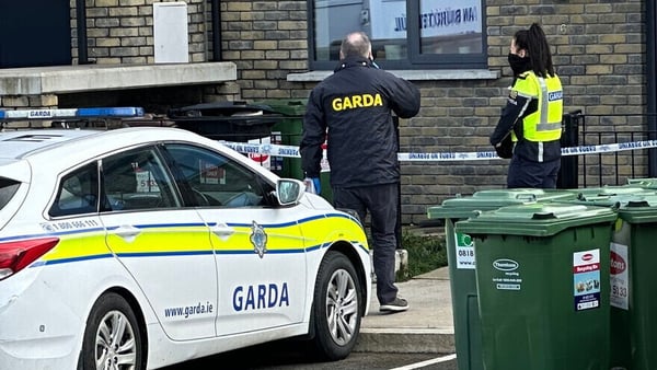 The man's body was found in the garden of a house in Eustace Demesne in Naas (Pic: RollingNews.ie)