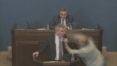 Georgian MPs brawl amid 'foreign agent' debate