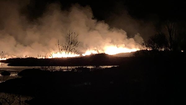 Gorse fires seen in Killarney National Park, March 2020