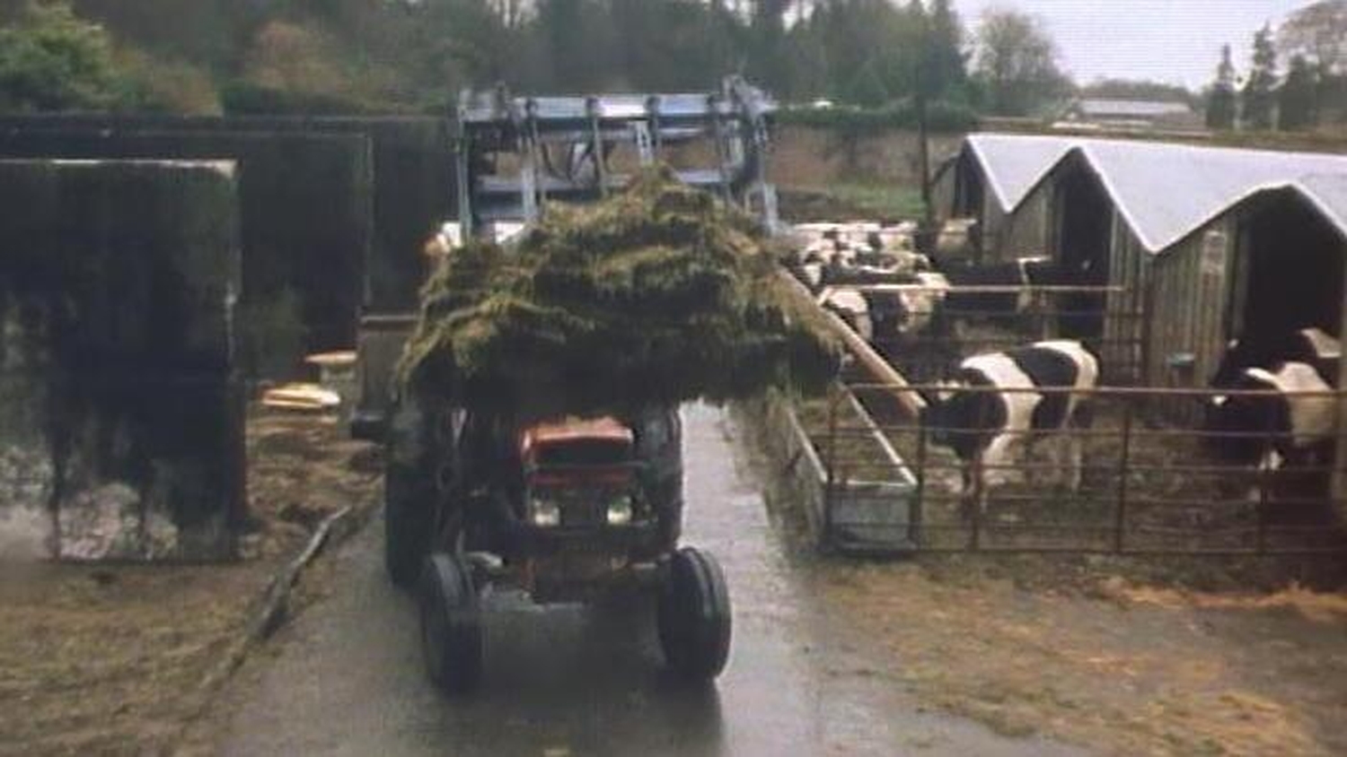 RTÉ Archives | Education | Innovation In Agriculture