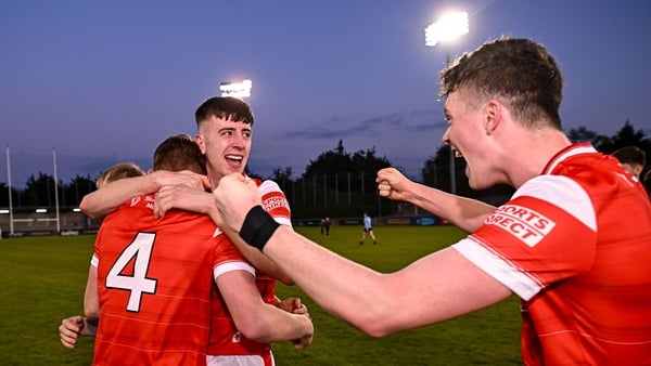 Louth players celebrate after their win over Dublin
