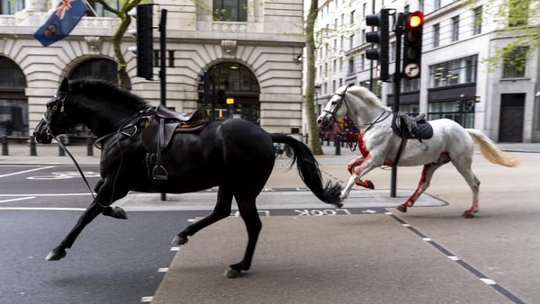 Two saddled horses, one seemingly covered in blood, run through the streets of London