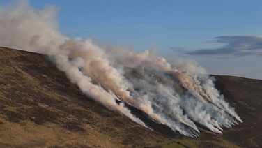 Gorse fires in the Blackstairs Mountains
