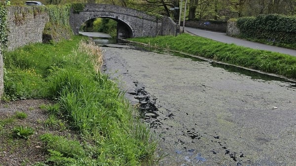 Uisce Éireann said the incident was caused by a sewer manhole overflow that entered the Grand Canal