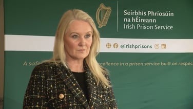 Level of violence in Irish prisons is 'relatively low'