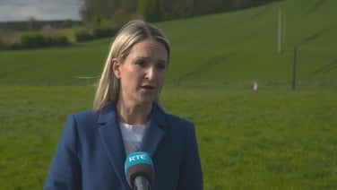 Minister for Justice says her focus is on making sure Ireland has an effective immigration structure and system