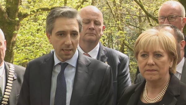 Simon Harris said he does not intend to allow the policies of other countries to 'affect the integrity of our own one'