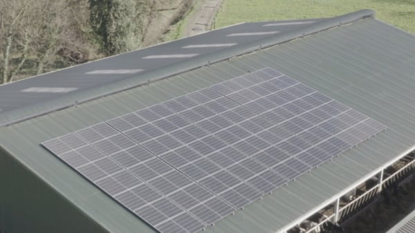 The IFA says solar panels can produce annual savings of between €4,000 and €6,000 for farmers