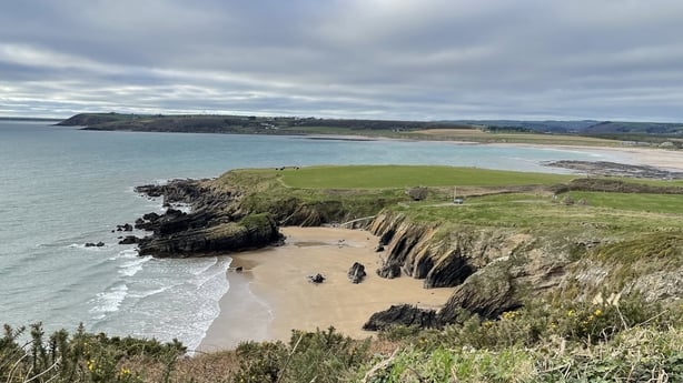 Goat island in Ardmore
