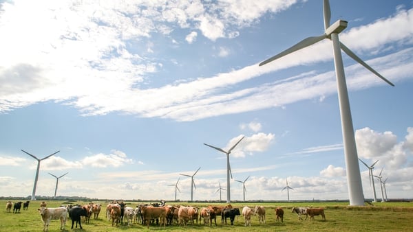 New planning guidelines for wind farms will be introduced by the end of 2024, the Taoiseach has said