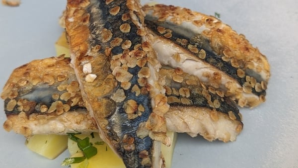 Mark Murphy's oat crusted mackerel, potato salad, horseradish cream: Today