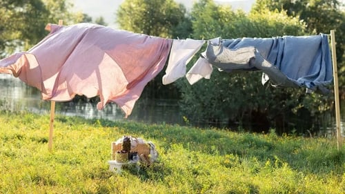 More heat equals more bacteria (Alamy/PA)