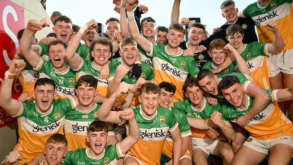 Offaly celebrate their victory over Dublin