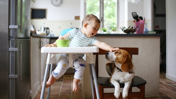 'Petting any type of animal will boost oxytocin'. Photo: Getty Images