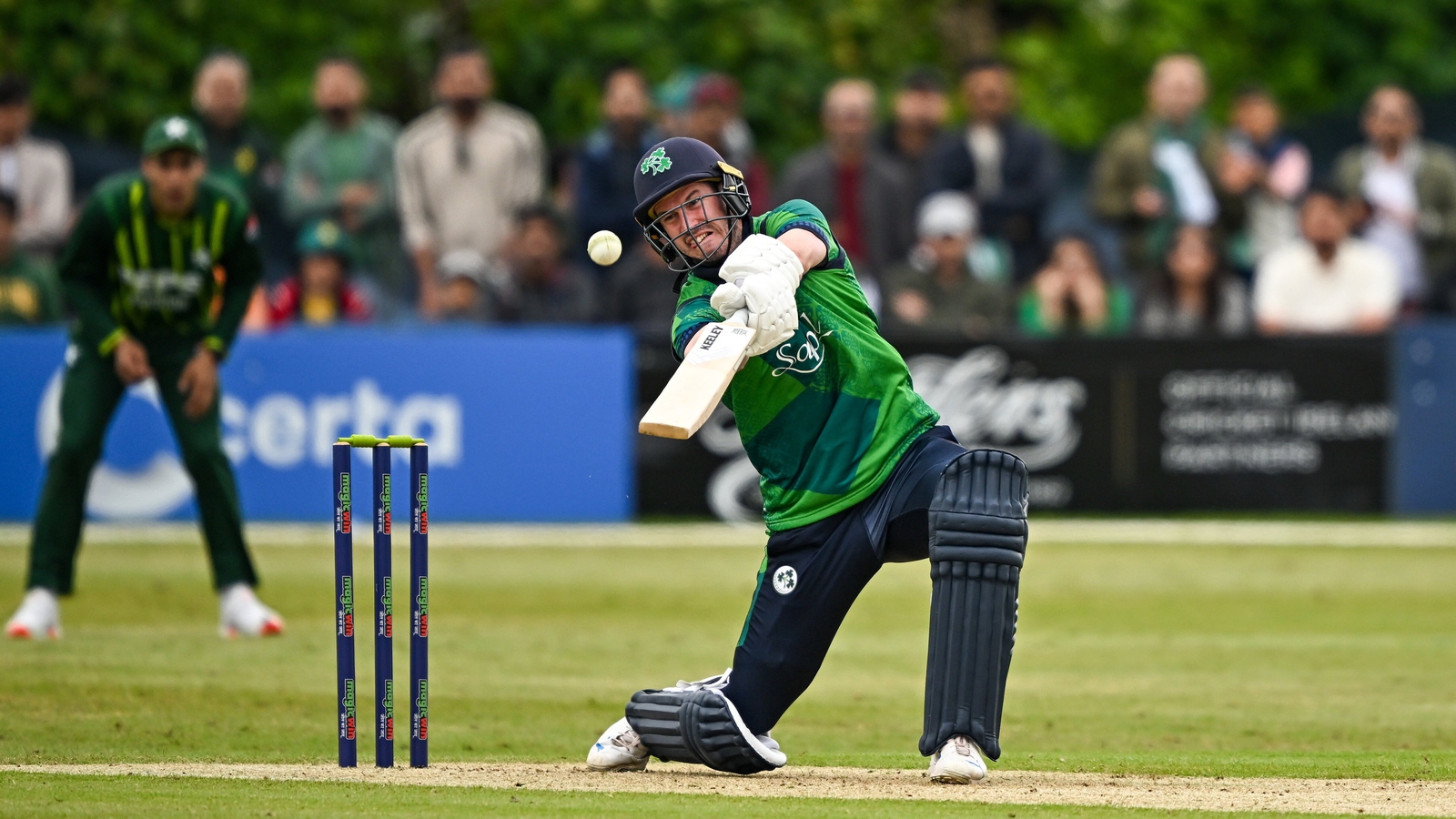 Ireland round off tri-series with win over Netherlands