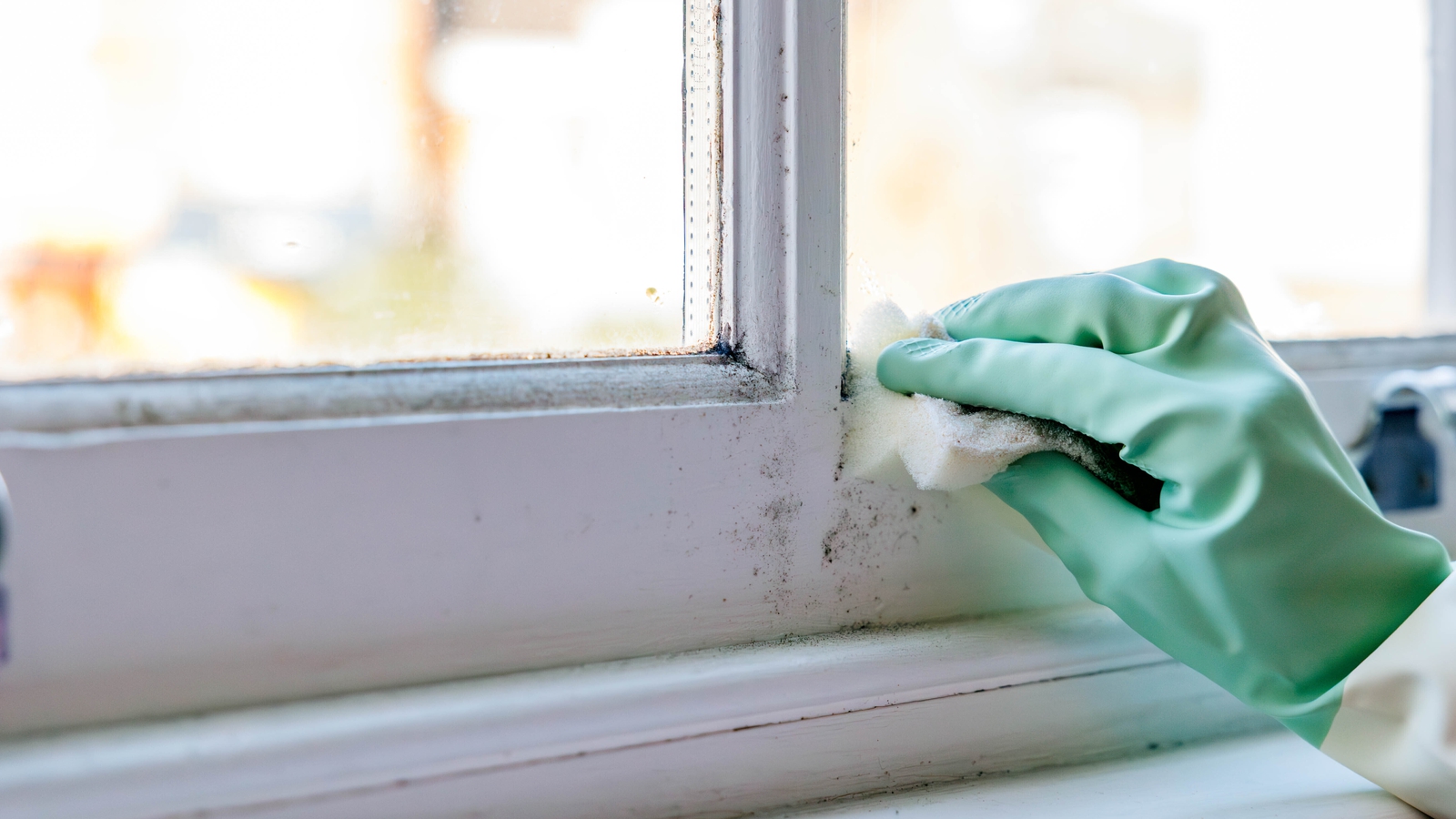 Expert hacks and tips for getting rid of mould