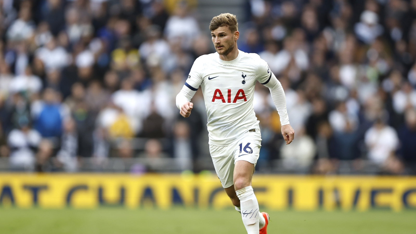 Werner back for another spell at Tottenham