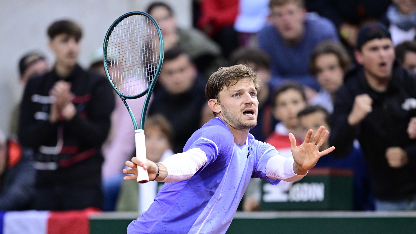 Goffin claims spectator spat chewing gum at him