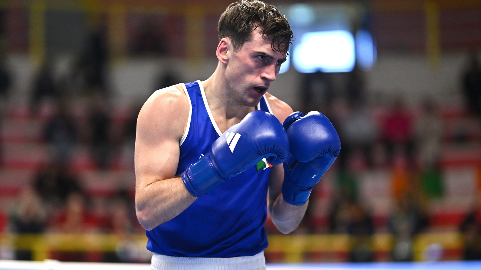 Olympian Walsh one win from Paris as Irish trio advance