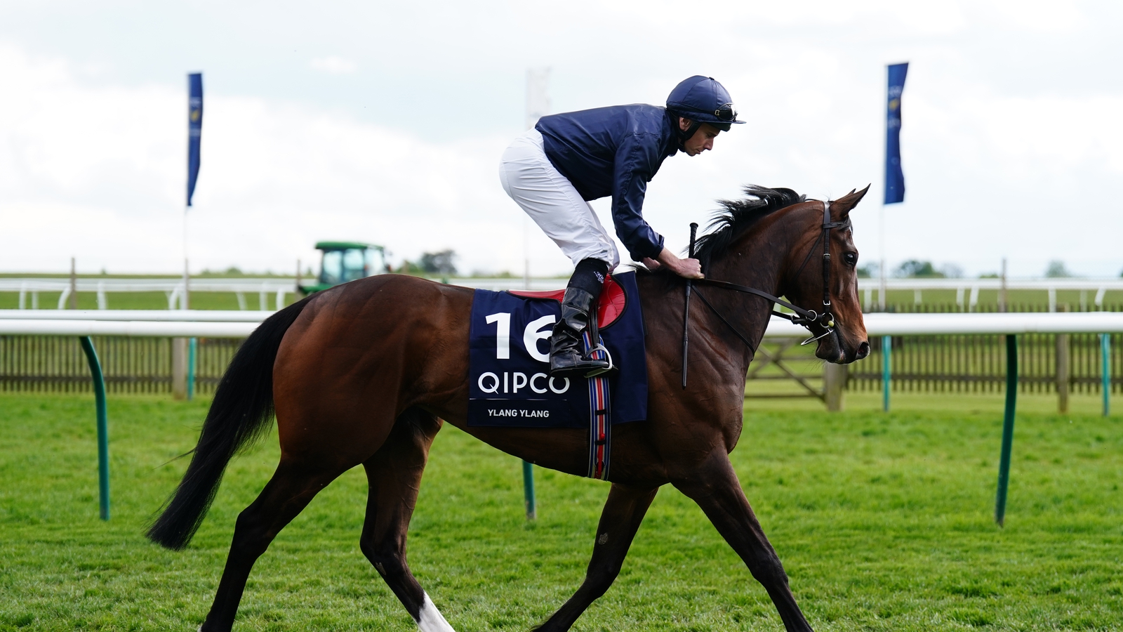 O’Brien hopeful Ylang Ylang can prosper in Oaks