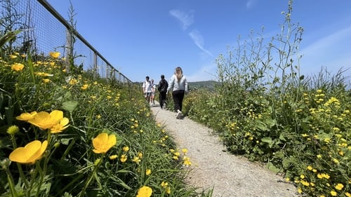 'Massive loss' as Wicklow cliff walk faces summer closure