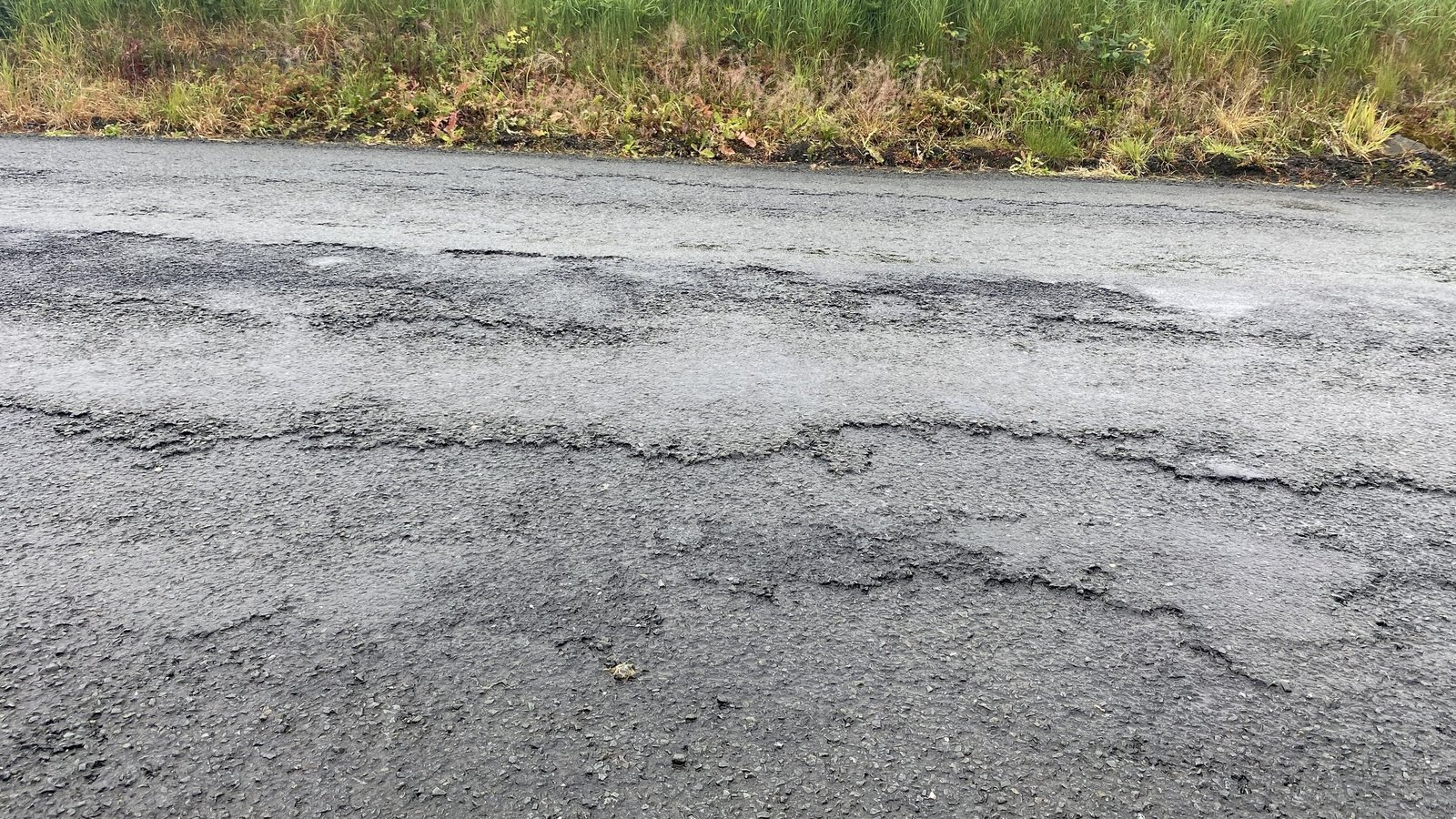 Potholes and traffic jams on election agenda in Co Cavan