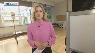 How to vote in the Local, European and Limerick Mayoral Elections