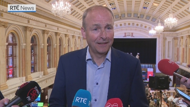 Fianna Fáil is 'doing far better than predicted' - Martin