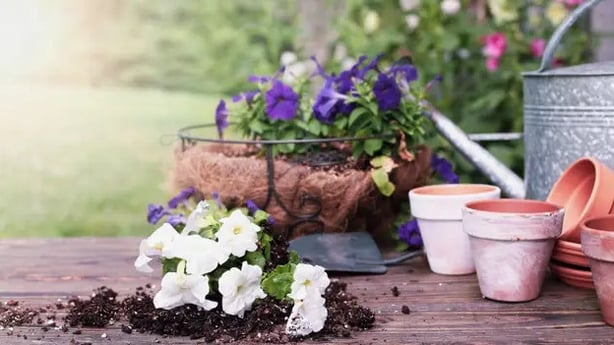 Hanging basket lining helps retain moisture with capacity to drain (Alamy/PA)