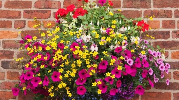 Think a flattering colour palette and prettiest petals for a showstopping basket (Alamy/PA)