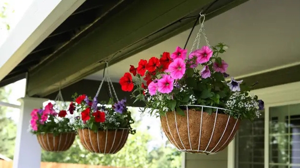 Positioning your hanging basket on a porch lends light and shade (Alamy/PA)