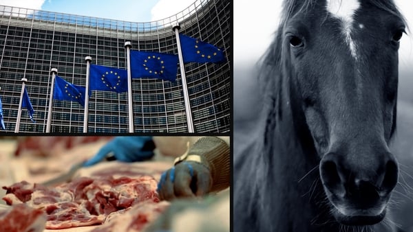 European Commission issued the alerts for horses slaughtered in Ireland, Italy and Spain.