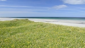 Naturefile - Machair