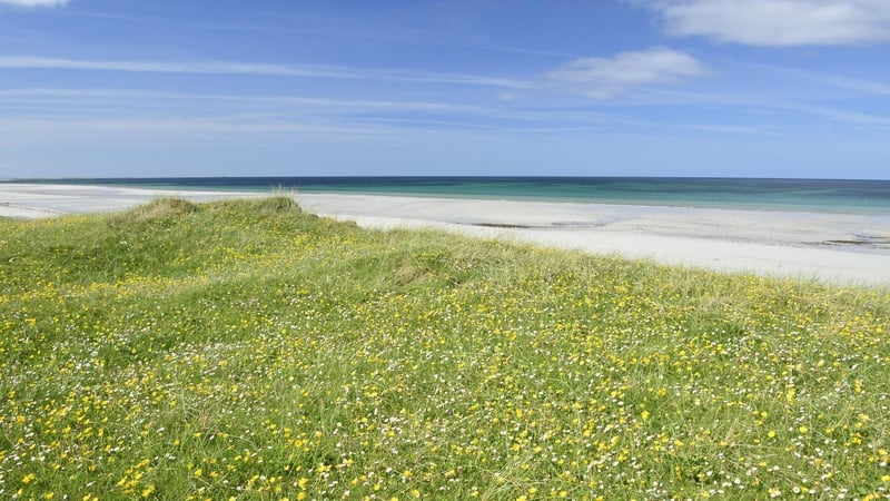 Naturefile - Machair