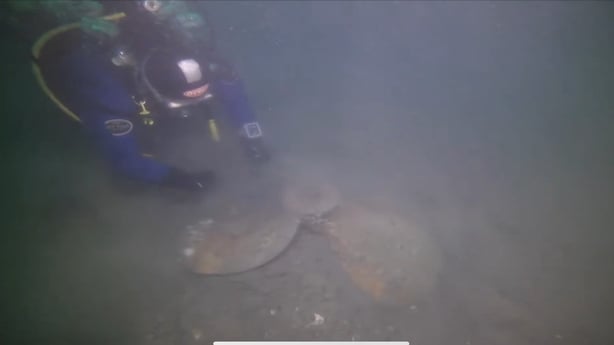 The submarine propeller being inspected on the seabed in Cork Harbour (Pic: Timmy Carey, Blackwater Sub-aqua Club)