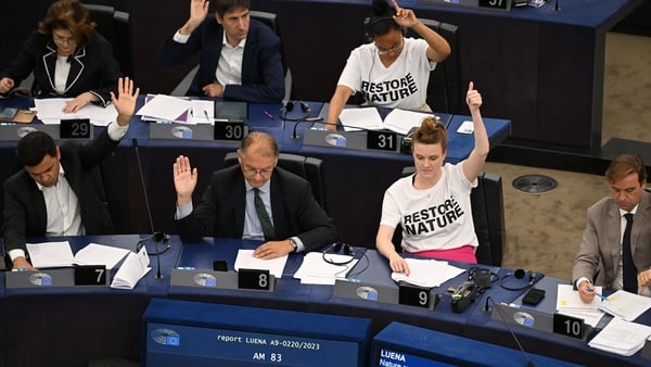 Members of the European Parliament, wearing T-shirts reading 'Restore Nature', react as they take part in a voting session on the EU nature restoration law in Strasbourg