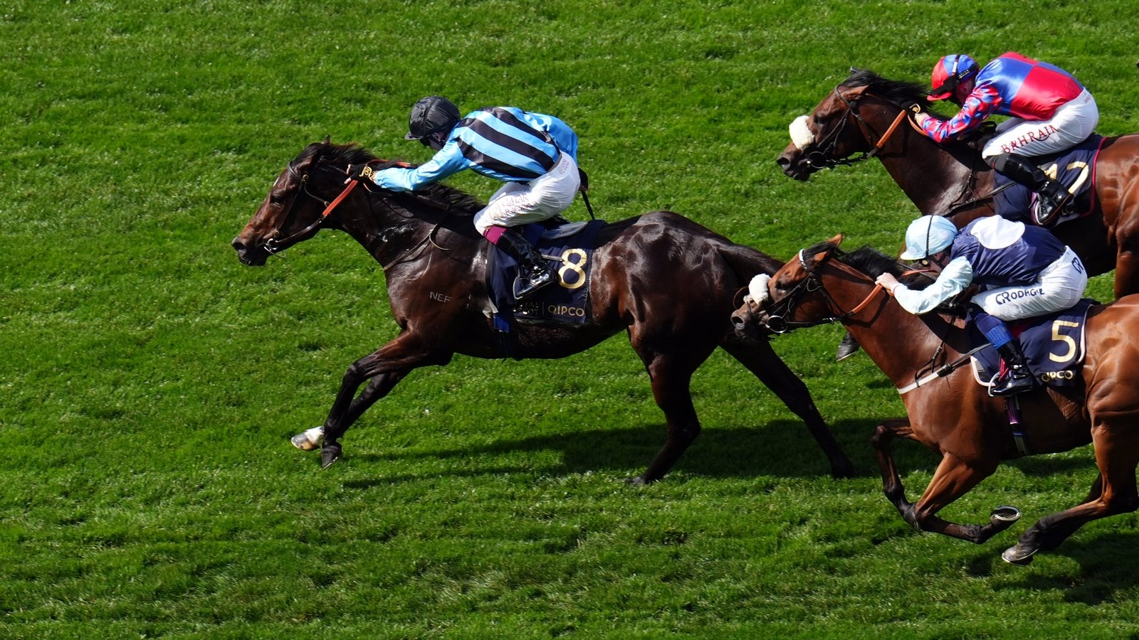 Asfoora strikes for Australia in King Charles III