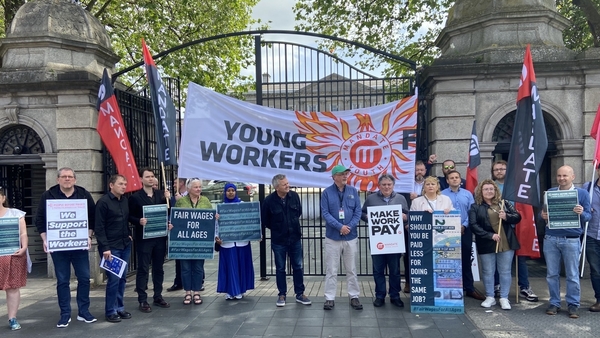 Around 20 people holding placards took part in the lunchtime demonstration outside Leinster House