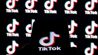 Can TikTok memes help a political party win a general election?