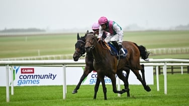 Bluestocking battles to Pretty Polly Stakes win