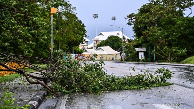 A tree is seen fallen on the street as hurricane Beryl passes near to Bridgetown, Barbados