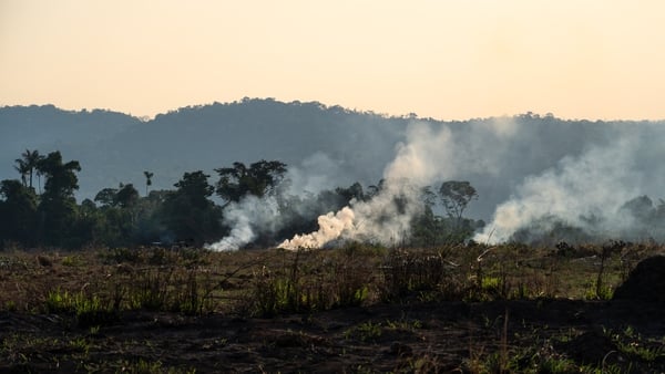 The total number of wildfires was up more than 61% compared to the same period last year